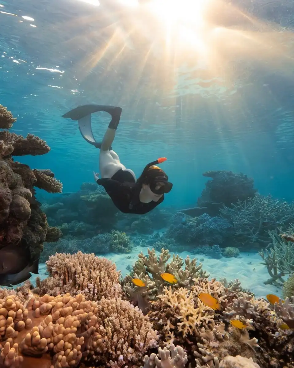 Best Time of Year to visit the Great Barrier Reef