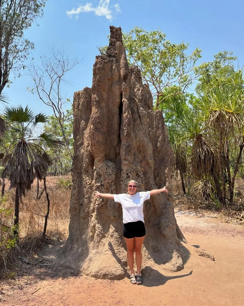 Giant Termite Mounds, Litchfield National Park