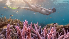 How Far Ahead to Book the Great Barrier Reef