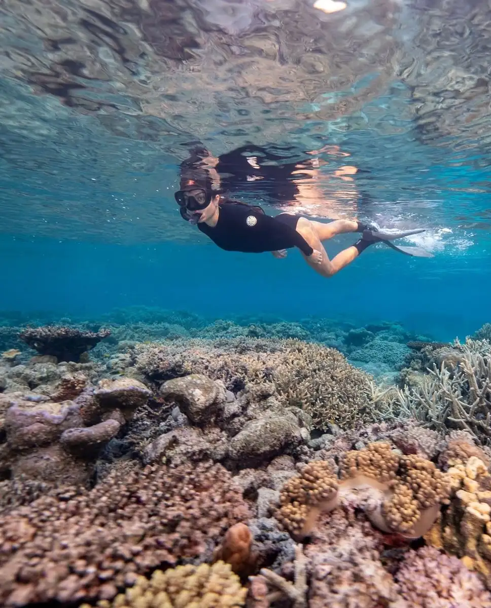 Reef Health, Climate Change and Being a Responsible Visitor